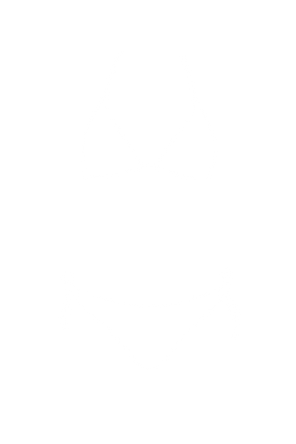 Triangle Halter Bikini Top