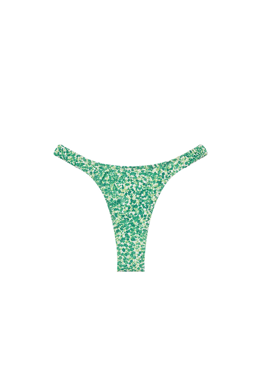 Ruched Waist Bikini Bottom | SWBKB029