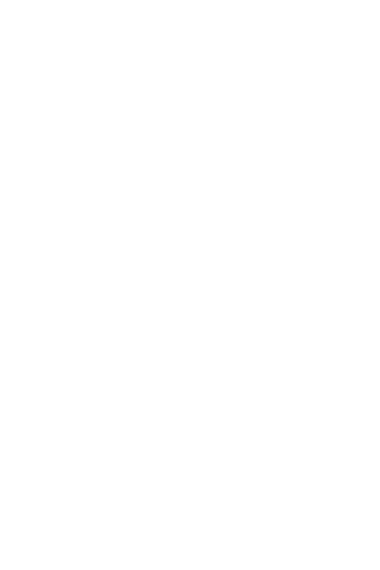 Ruched Waist Bikini Bottom