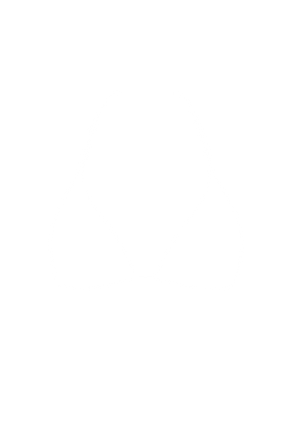 Triangle Halter Bikini Top