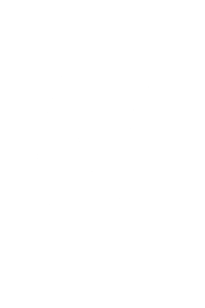 Plunge Halter Bikini Top